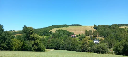 Las Plebański w Lipnicy Wielkiej