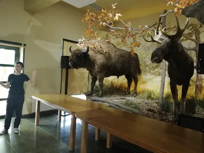 Muzeum Przyrodnicze w Ciężkowicach