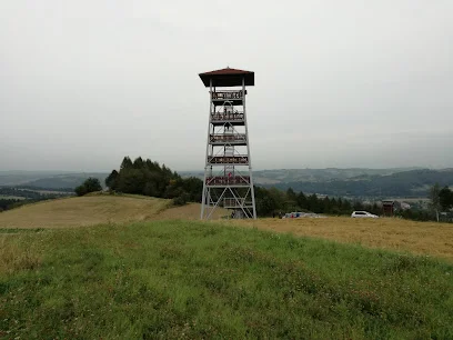 Wieża widokowa w Bruśniku