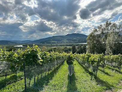 Winnica Gródek