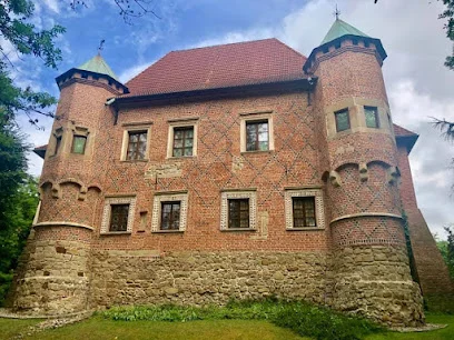 Zamek w Dębnie